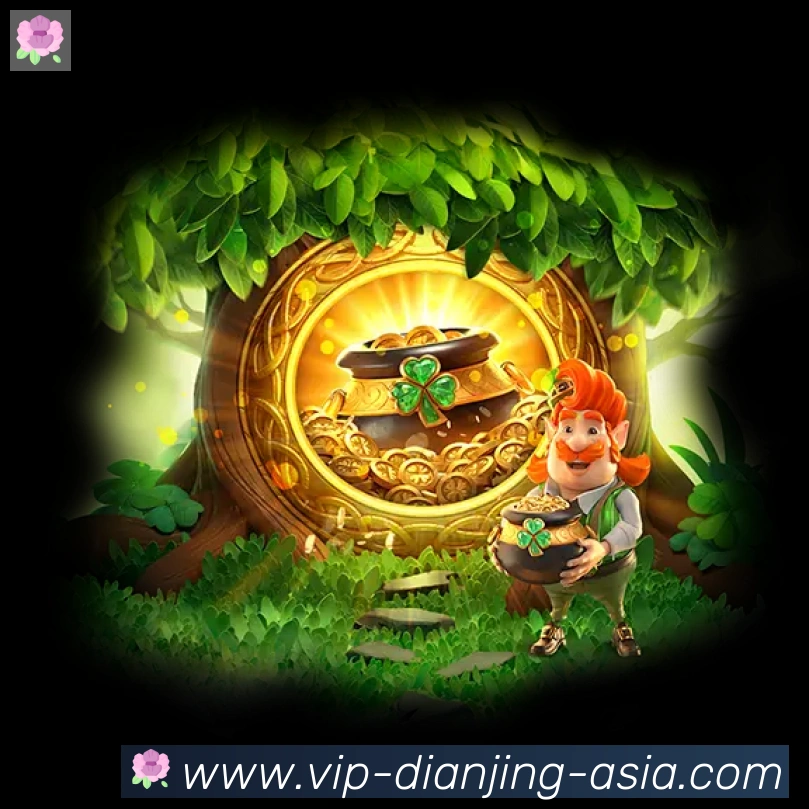 DB电竞全站App